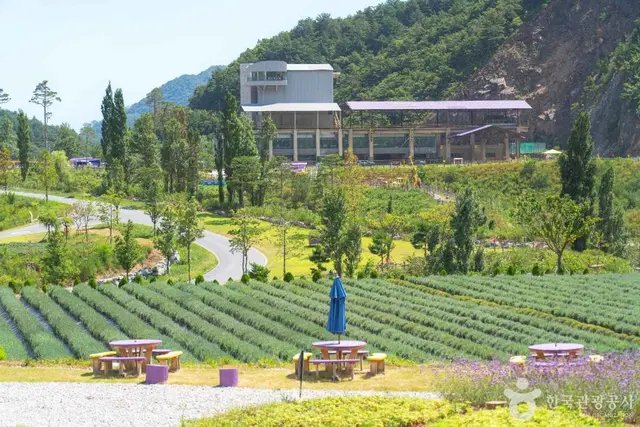 무릉별유천지 사진
