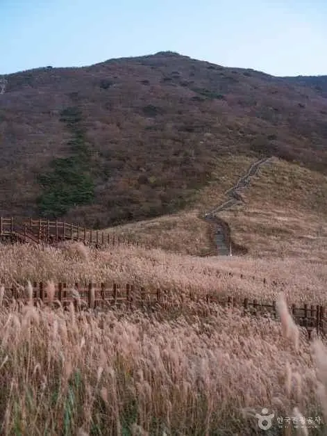 간월재 사진