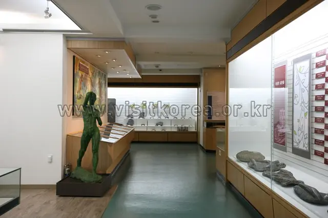 경희대학교 자연사박물관 사진
