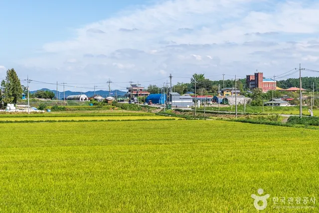 달고개모시마을 사진