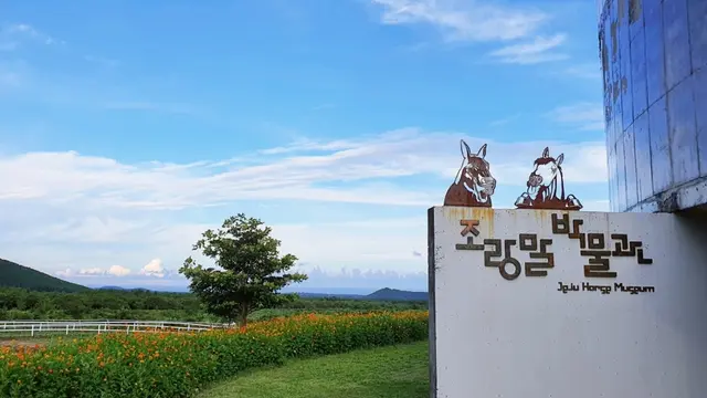 조랑말체험공원 사진