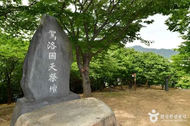 봉황대공원 사진