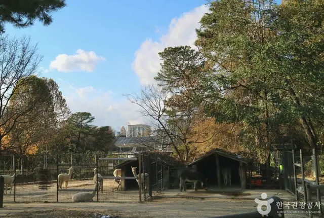 서울어린이대공원 사진