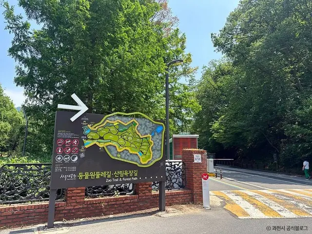 서울대공원 산림욕장 사진