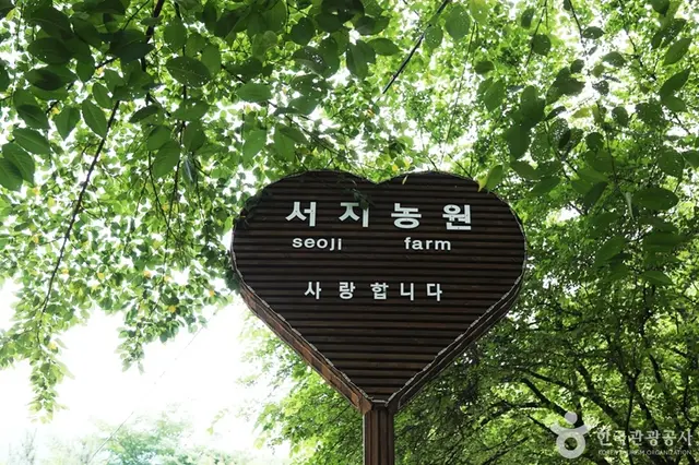 서지관광농원 사진
