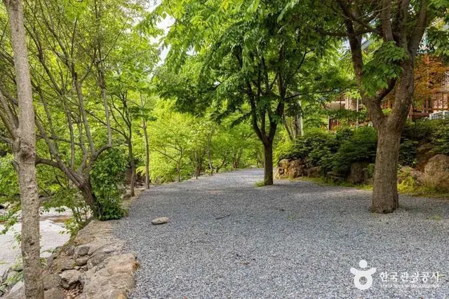 덕동소풍가는날 펜션캠핑장 사진
