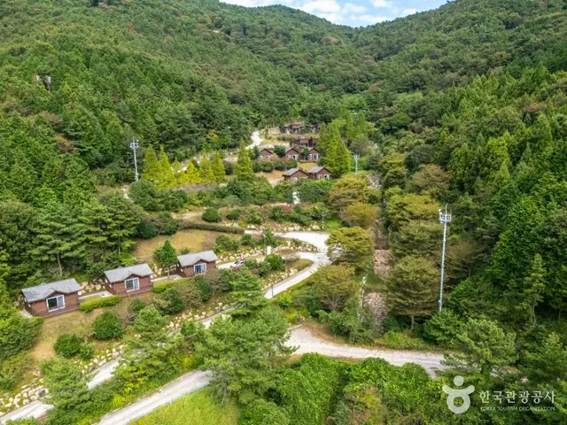 봉황산자연휴양림 사진