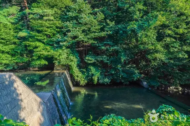 금화계곡 사진