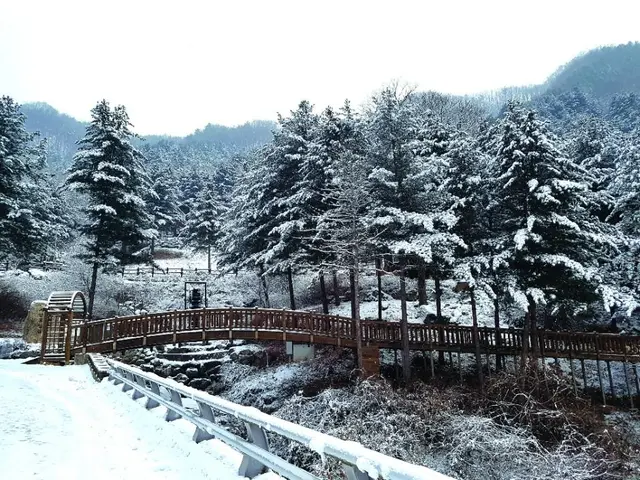 칼봉산자연휴양림 사진