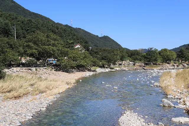 해담구룡령야영장 사진