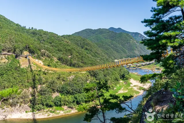 월영산 출렁다리 사진