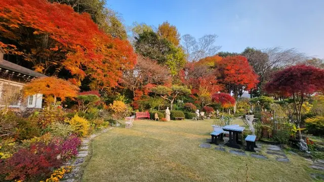 화가의 정원산책 사진