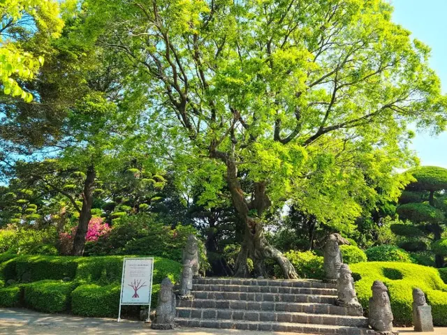일출랜드 사진