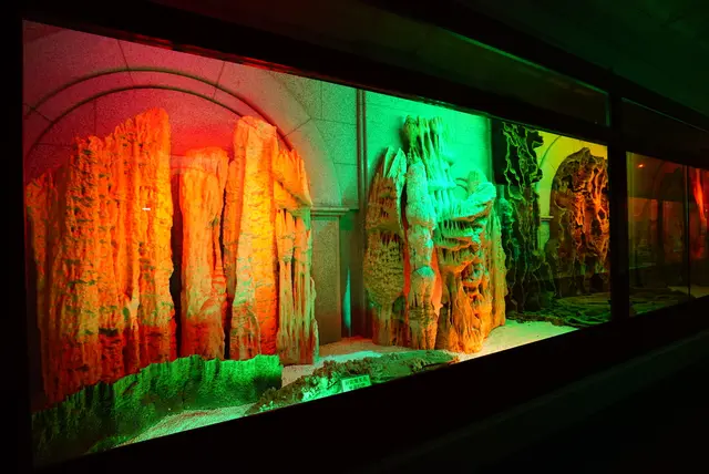 강원종합박물관 사진