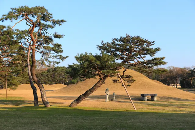 오릉 사진