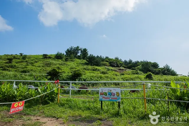 뷰 제주하늘 사진