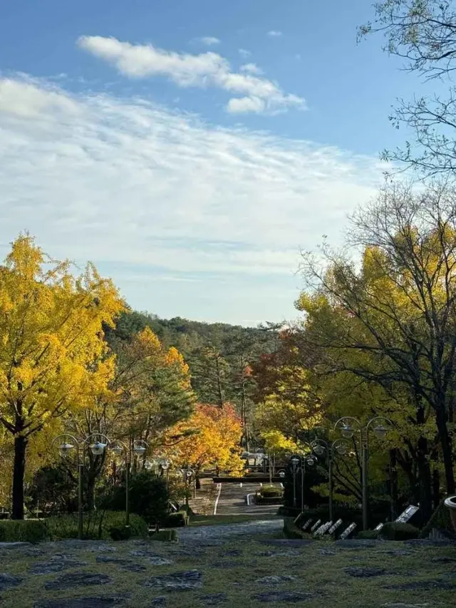 경상북도산림과학박물관 사진