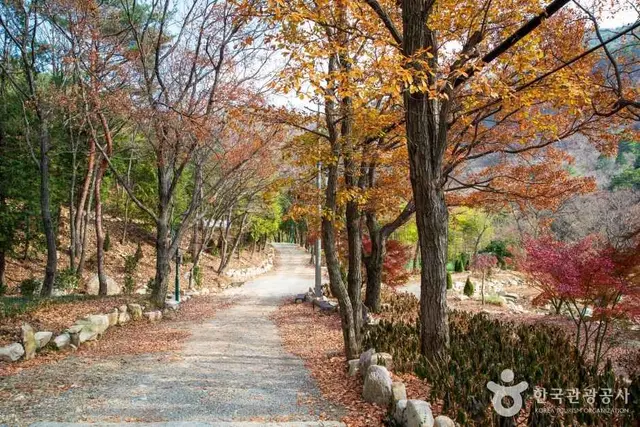 울산수목원 사진