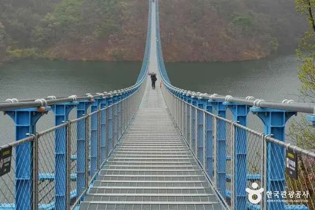 초평호 미르309 출렁다리 사진