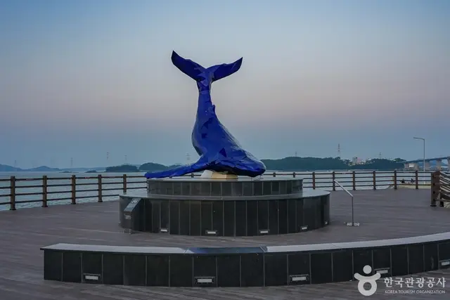 영흥도 하늘고래전망대 사진