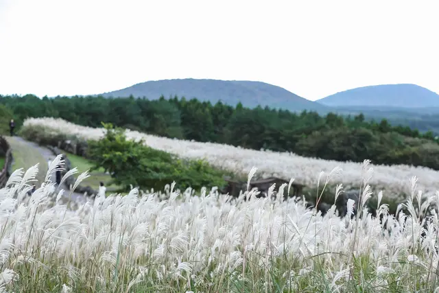 산굼부리 사진