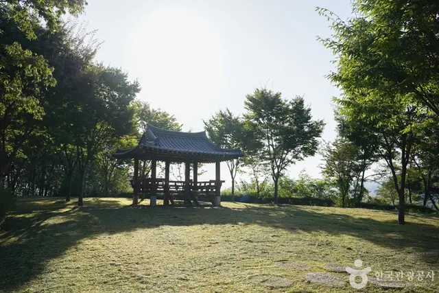 미숭산자연휴양림 사진