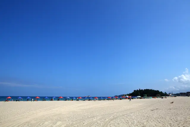 송지호해수욕장 사진