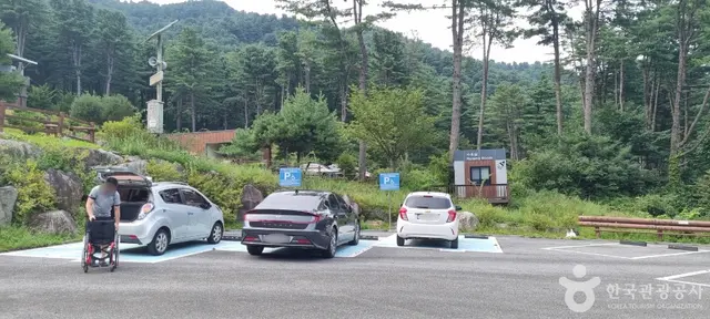 잣향기푸른숲 유아숲체험원 사진