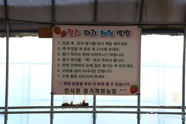 한사랑딸기체험농장 사진