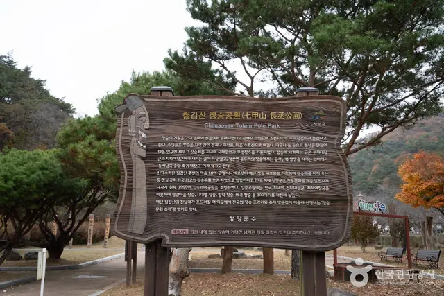 칠갑산 장승공원 사진