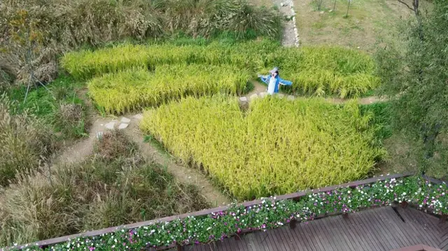 바다향기수목원 사진
