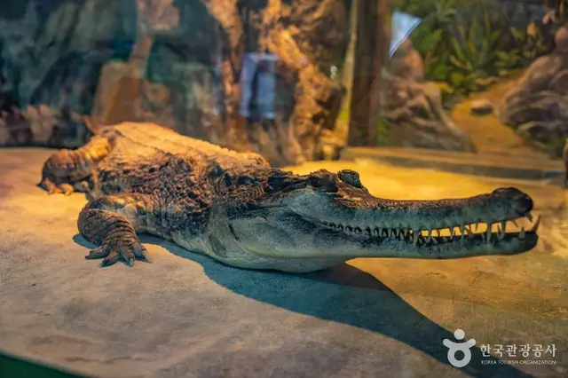 부산해양자연사박물관 사진