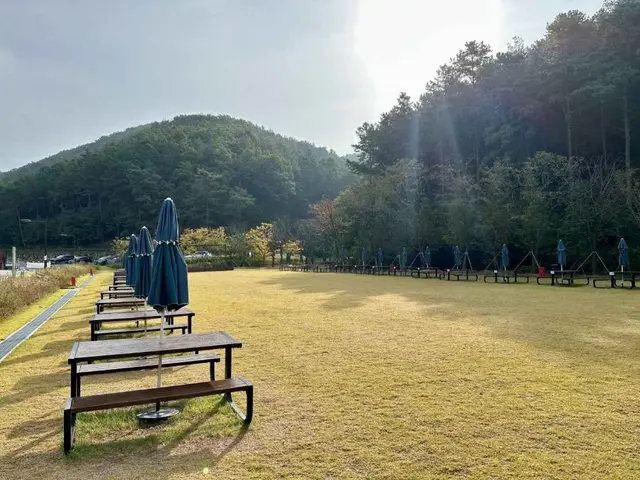 무봉산 자연휴양림 사진