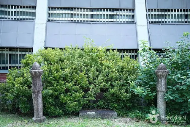 강원대학교 중앙박물관 사진