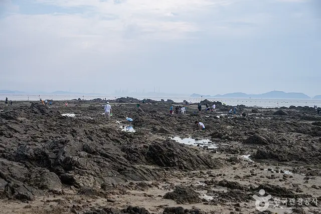 제부리어촌체험마을 사진