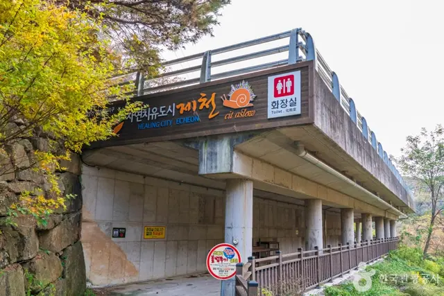 능강계곡 사진