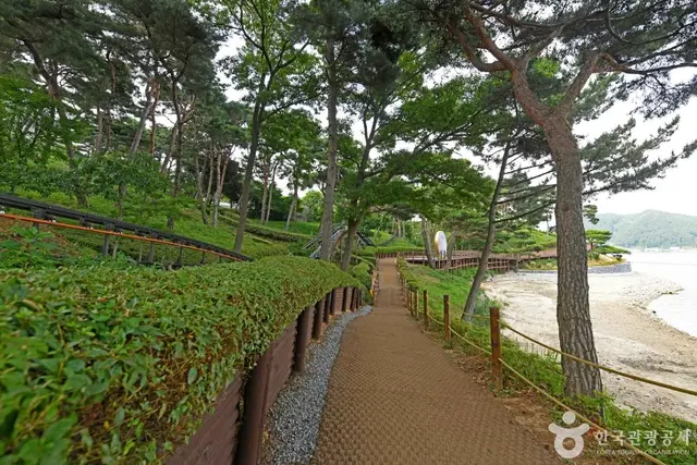 느린호수길 사진