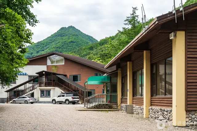 고산자연휴양림 사진