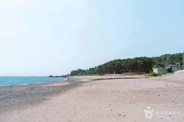 봉길대왕암해변 사진