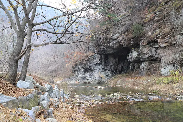 A&J오토캠핑장 사진