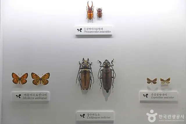 인제곤충바이오센터 사진