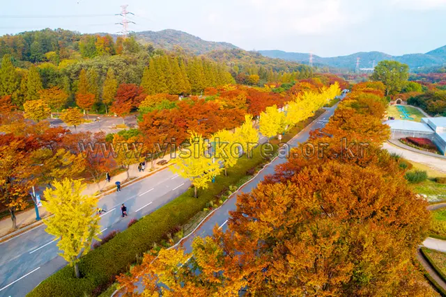 인천대공원 사진