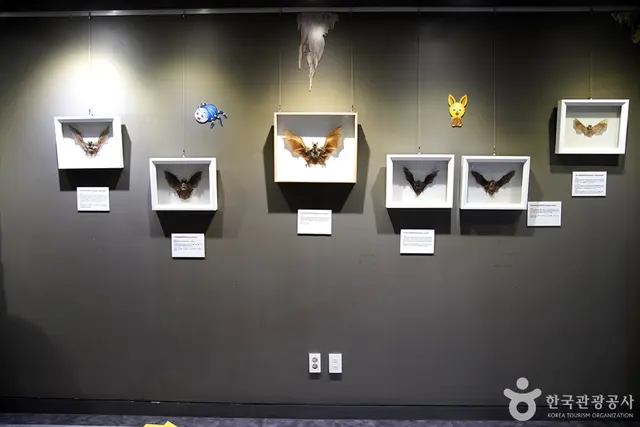 영월동굴생태관 사진