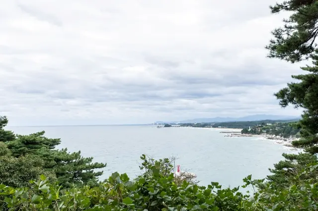 죽도정·죽도 전망대 사진