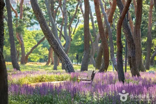 황성공원 사진