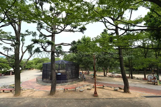 달성공원 사진