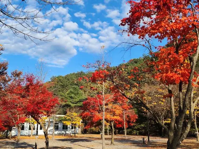 두산분교캠핑장 사진
