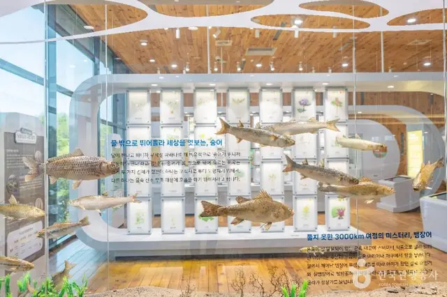 낙동강하구에코센터 사진