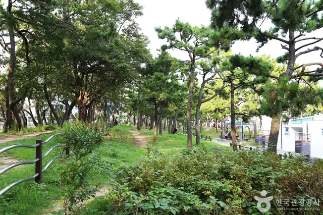 송림공원 사진