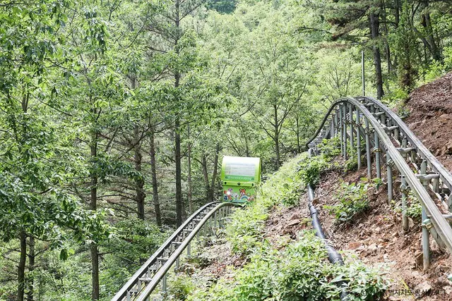 무주 향로산 자연휴양림 사진